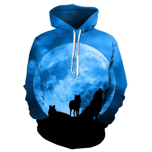 HS0135-4_sweat-a-capuche-pour-homme-streetwear_variants-9.jpg