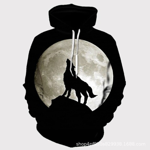 HS0135-6_sweat-a-capuche-pour-homme-streetwear_variants-11.jpg