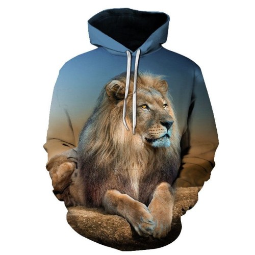 CBW-507_sweat-shirt-a-capuche-imprime-lion-pour_variants-13.jpg
