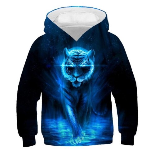 TRW-23202(1)_sweat-a-capuche-harajuku-pour-garcon-et_variants-1.jpg
