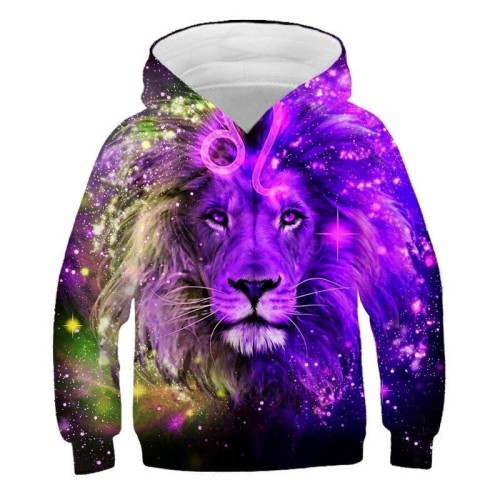 TRW-23204(1)_sweat-a-capuche-harajuku-pour-garcon-et_variants-3.jpg