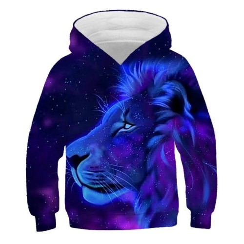 TRW-23205(1)_sweat-a-capuche-harajuku-pour-garcon-et_variants-4.jpg