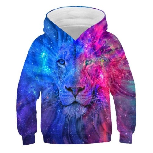 TRW-23207(1)_sweat-a-capuche-harajuku-pour-garcon-et_variants-6.jpg