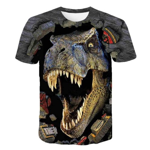 TX-2559_lato-dinozaur-moda-koszulka-chlopiec-top_variants-0.jpg