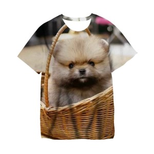 Koszulka T-Shirt 3D ZWIERZETA PIES Dla Dzieci ROZMIAR 100-160