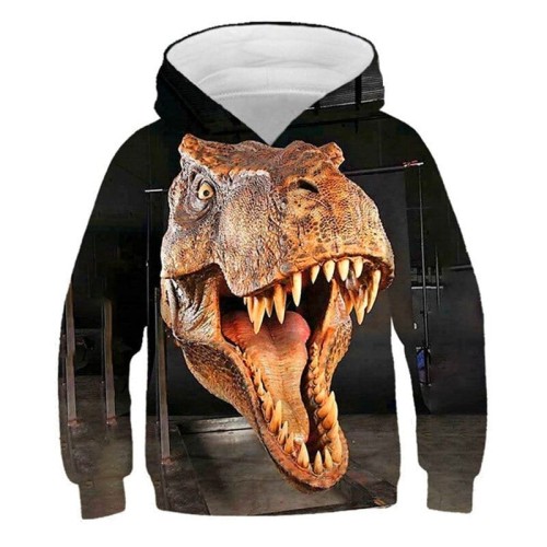picture color_jurassic-world-sweat-shirt-de-sport-a_variants-5.jpg