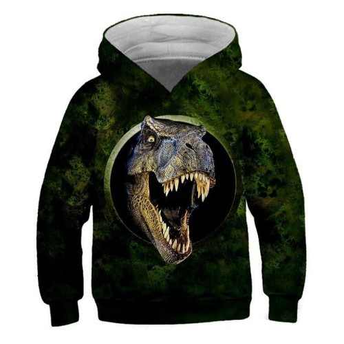 txw-2513_sweat-a-capuche-avec-motif-de-dinosaure_variants-3.jpg