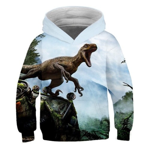 TXW-3498_sweat-a-capuche-avec-motif-de-dinosaure_variants-3.jpg