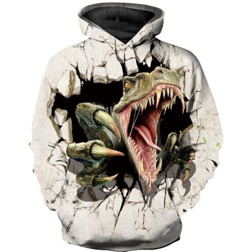 txw-4707_sweats-a-capuche-motif-dinosaure-pour-en_variants-3.jpg