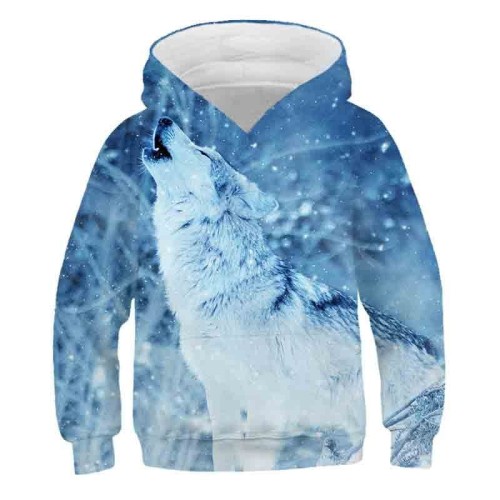 tyw-2524_sweatshirt-a-capuche-pour-enfant-garcon_variants-6.jpg