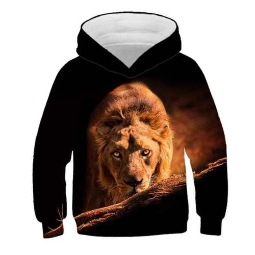 TRW-22103._sweat-shirt-a-capuche-3-d-pour-enfants-v_variants-2.jpg